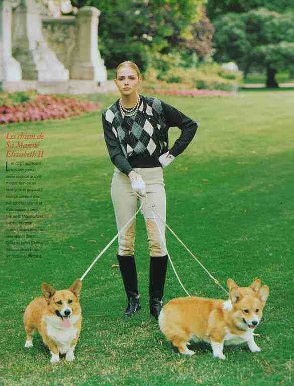 rotten little dogs (queen's corgies) 740-rotten-little-dogs--queen-s-corgies-.jpg