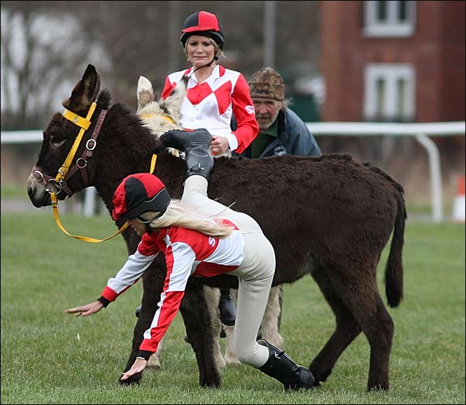 Donkey Derby 7700-donkey-derby.jpg