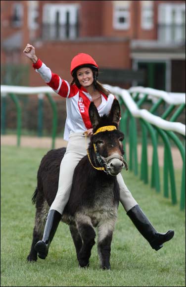 Donkey Derby 7701-donkey-derby.jpg