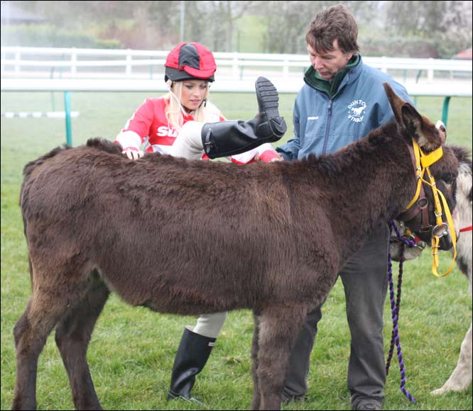 The Sun Newspaper's Page Three Stunners Donkey Derby Race 7747-the-sun-newspaper-s-page-three-stunners-donkey-derby-race.jpg