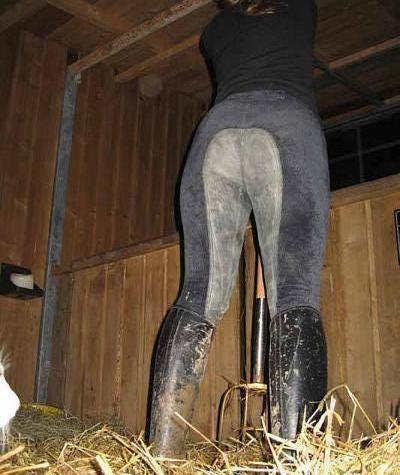 Horse po,boots and butt's. 7783-horse-po-boots-and-butt-s-.jpg