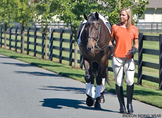 Blonde Girl Leading Her Horse 8519-blonde-girl-leading-her-horse.jpg