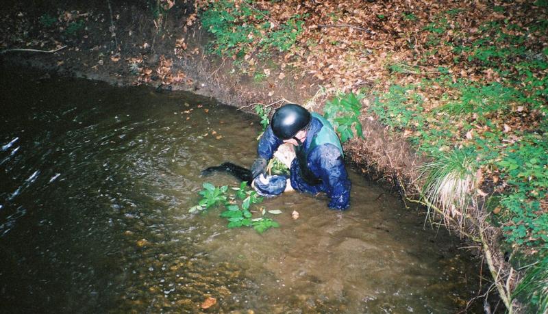 hes in the drink 900-hes-in-the-drink.jpg