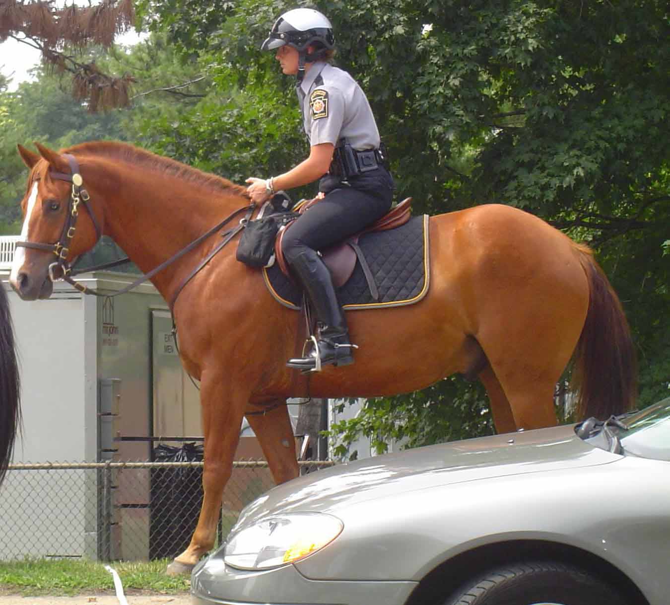 women mounted police 906-women-mounted-police.jpg