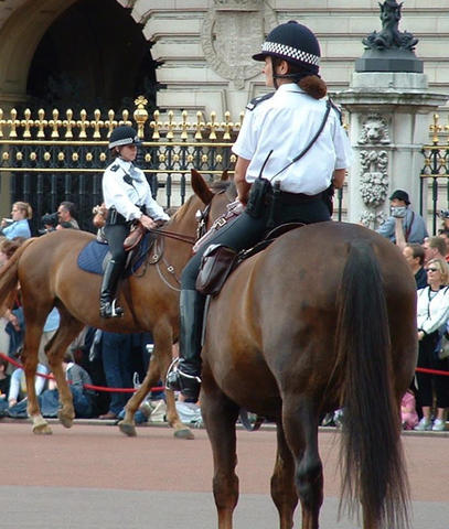 Re: women mounted police 907-re--women-mounted-police.jpg