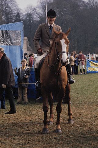 a young husband of  	HRH Anne 9187-a-young-husband-of---hrh-anne.jpg