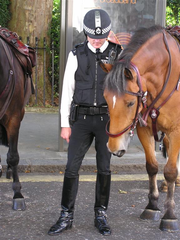 british mounted policeman 9381-british-mounted-policeman.jpg