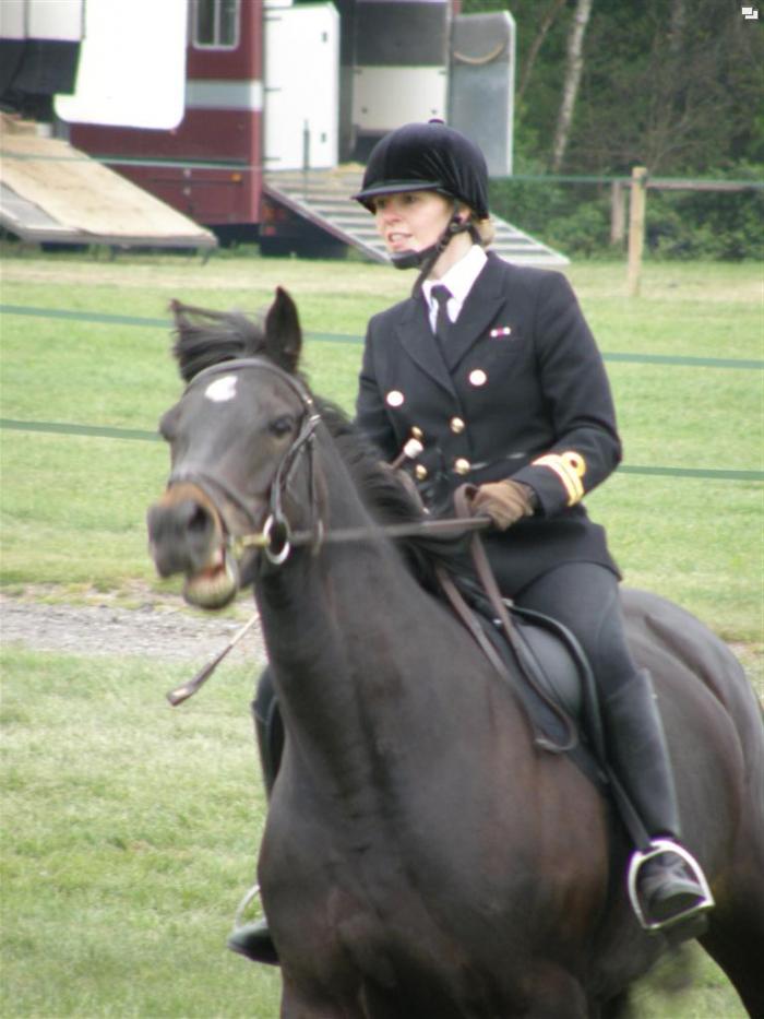 a mounted officer 9476-a-mounted-officer.jpg