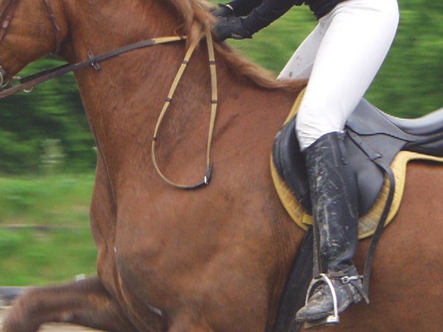 her dirty boots 9555-her-dirty-boots.jpg